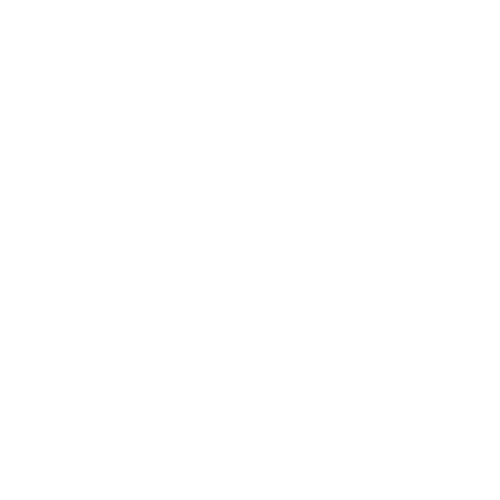 logo_cg_white_gross